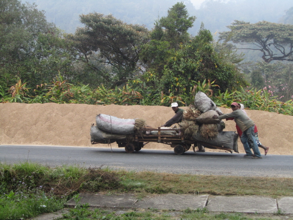 People without even a zebu cart