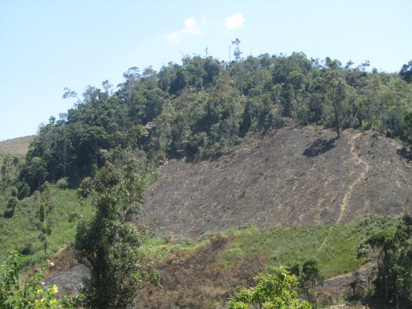 Destruction caused by burning