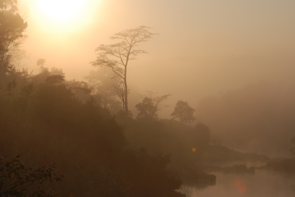 Sunrise at Ranomafana