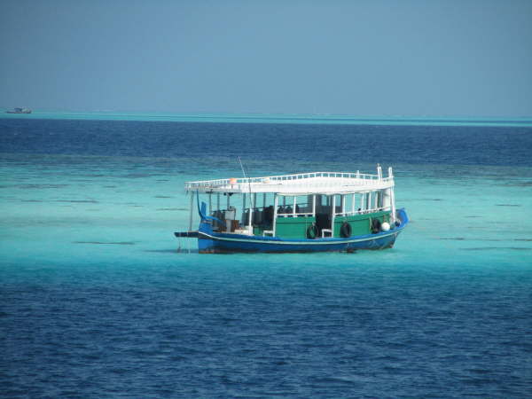 Maldavian dhoni (local boat)