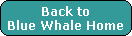 Back to
Blue Whale Home
