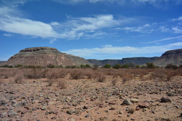 Typical scenery in Namibia