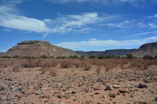 Typical scenery in Namibia