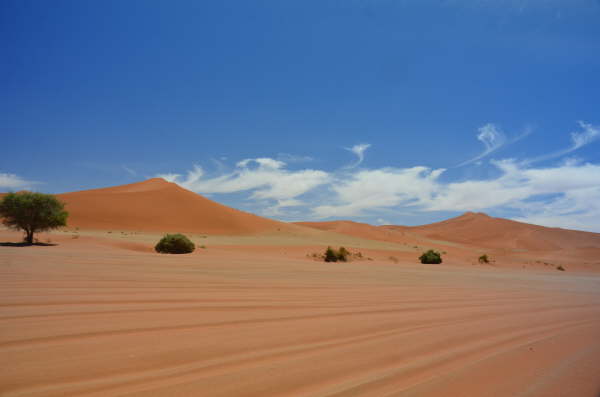 Namib-Naukluft National Park