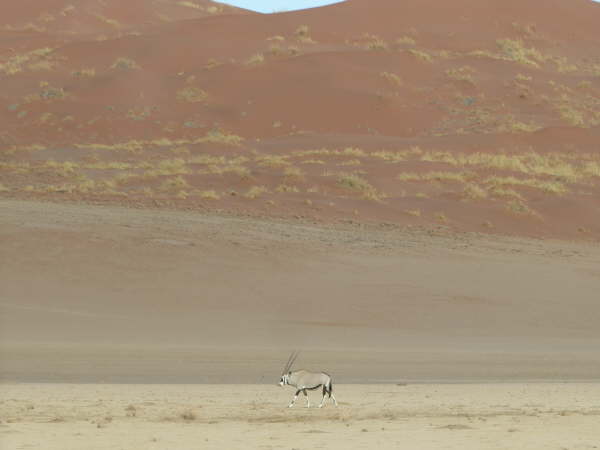 Namib-Naukluft National Park