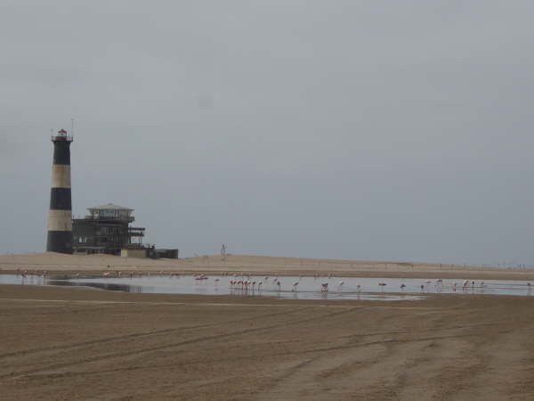 Lighthouse, our hotel and Flamingos