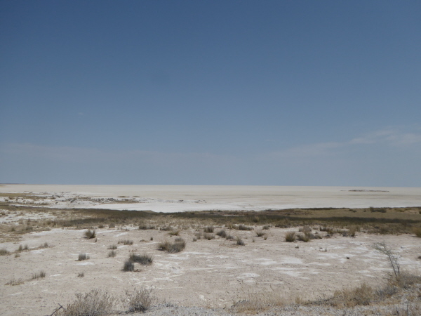 Salt pan in Etosha National Park