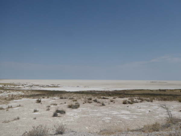 Salt Pan in Etosha National Park