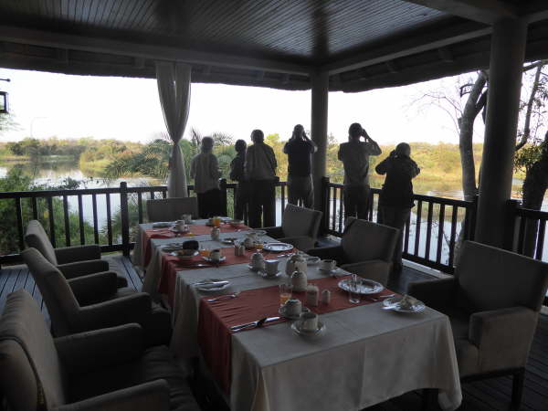 Typical meal disturbed by wildlife!