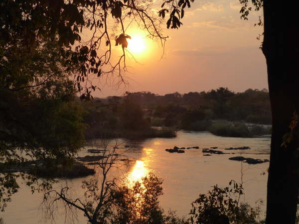 View from the restaurant of the Okavango River 