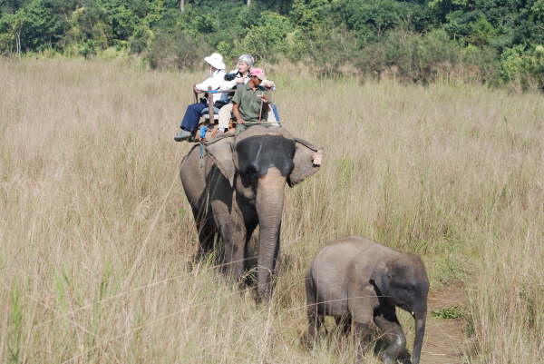 Riding the Elephants in Chitwan NP