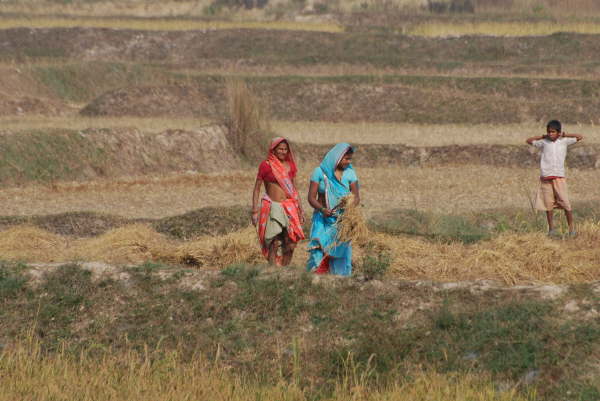 Lunchtime on the way to Kosi Tappu