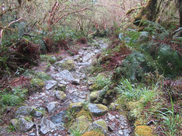 Walk to Lake Marian (Fjordland)