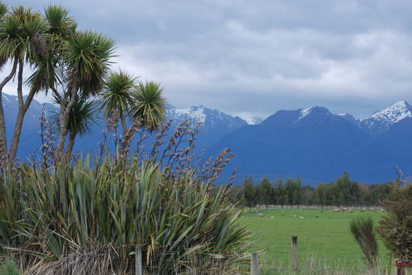 Fjordland view on the Milford Road