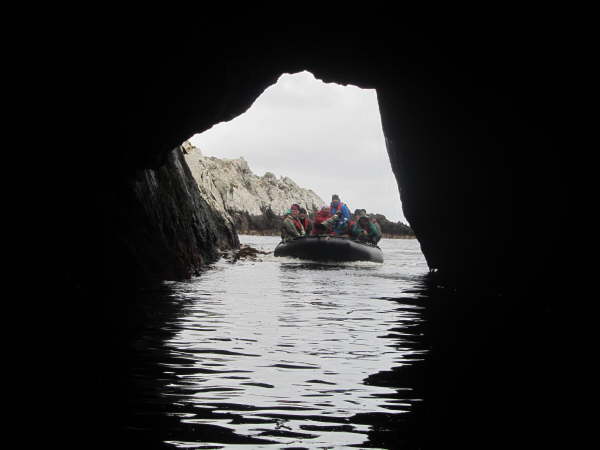 Zodiac trip in the Snares Islands