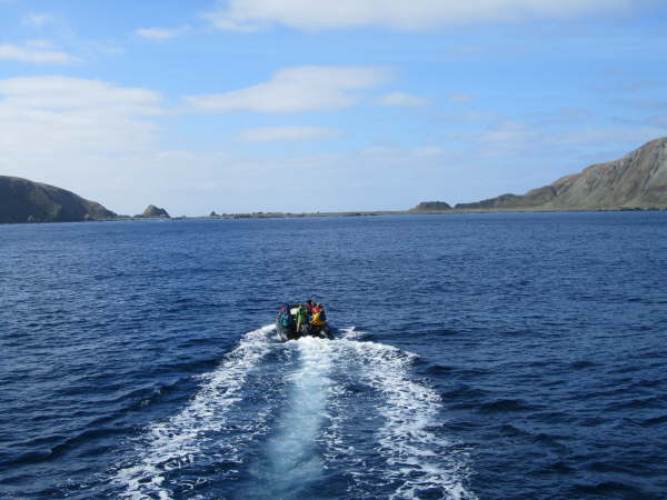 Going ashore at Macquarie Island
