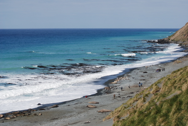 Macquarie Island