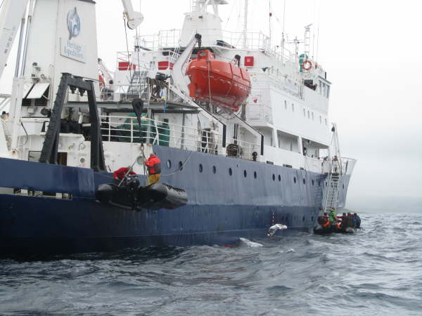 Putting away the zodiacs after an excursion
