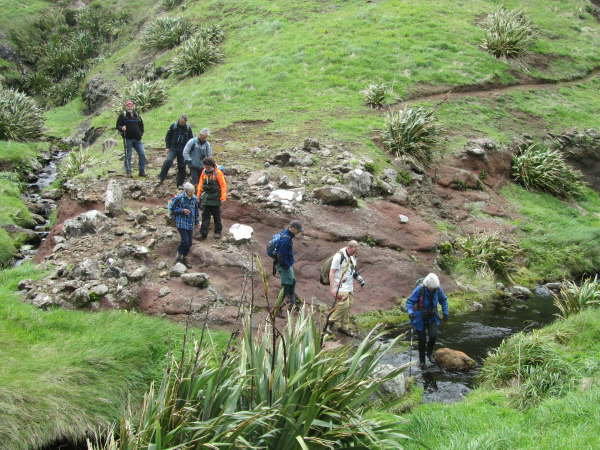 A walk on the Chatham Islands