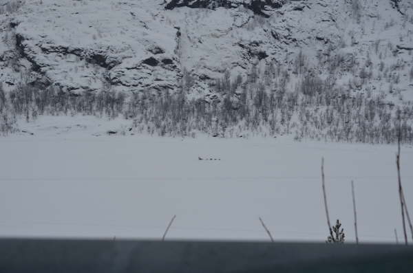 Distant sledging party