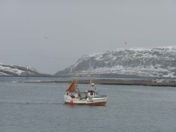 Vardo harbour