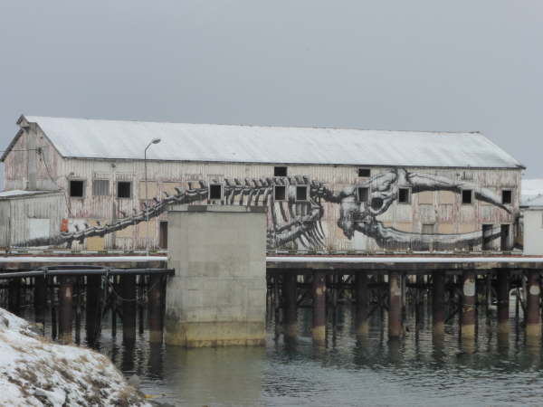 Vardo harbour (painting of humpback whale skeleton)