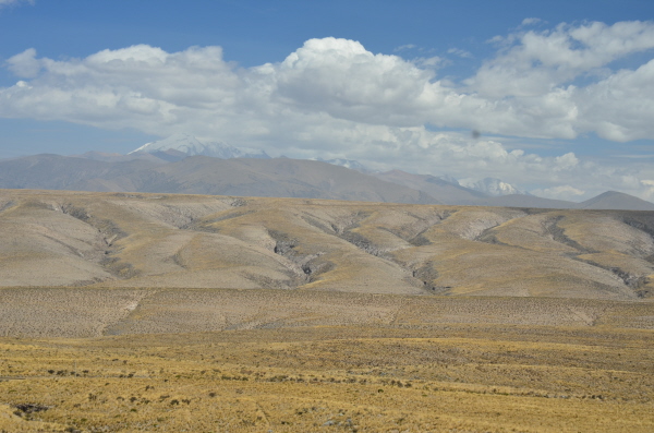 The Altiplano (High plains of the Andes)