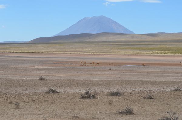 El Misti volcano above Arequipa