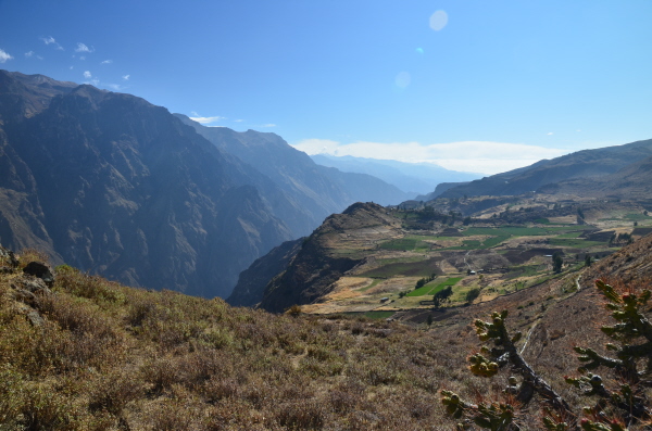 Colca Canyon