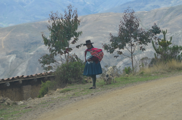 Peruvian national dress - worn everywhere outside the towns (last photo in this section)