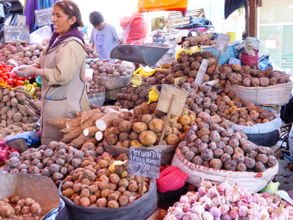 Potatoes, potatoes, potatoes !!
