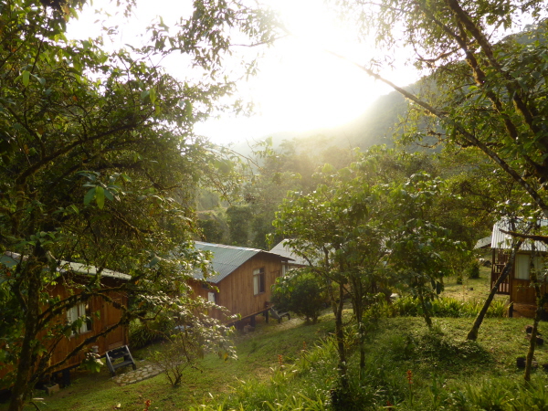 Cabins at Cock of the Rock Lodge