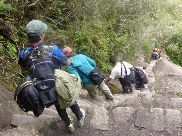 The steep descent from Wayna Picchu (last photo in this section)