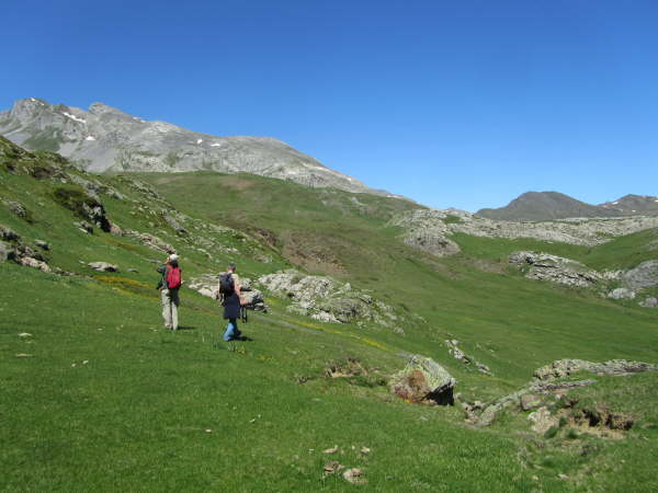 The hills are alive ...