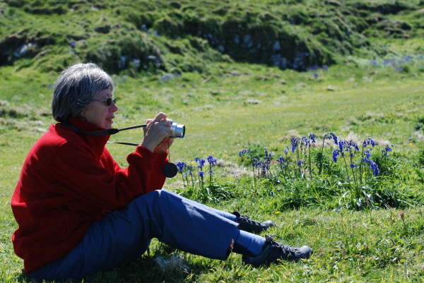 Liz watching the Puffins