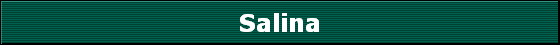 Salina