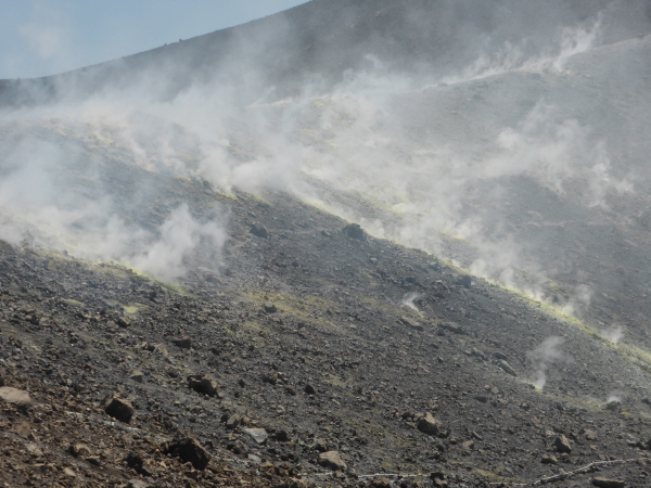 Sulphur gases (poisonous)