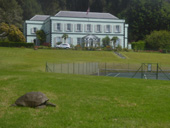 Tortoise and the Governor's house