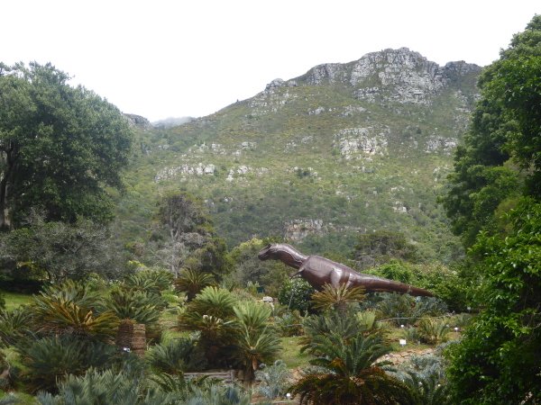 Kirstenbosch