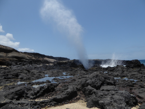 The Blowhole