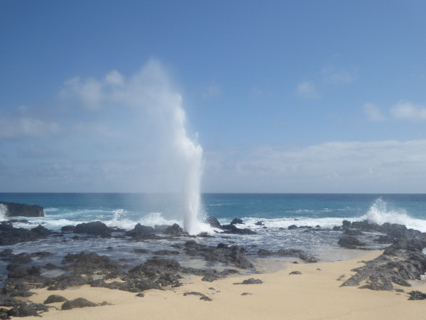 The Blowhole