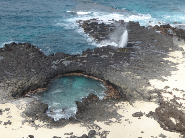 The Blowhole