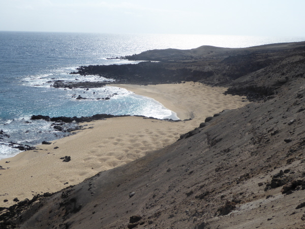 Turtle nesting holes