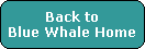 Back to
Blue Whale Home