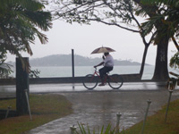 bicycle in the rain