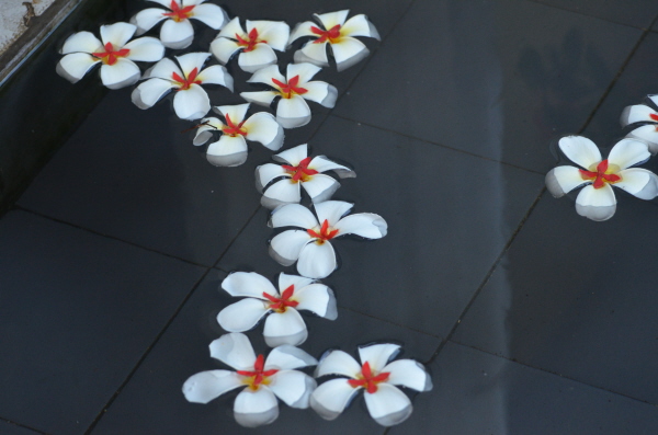 Flowers at the hotel entrance