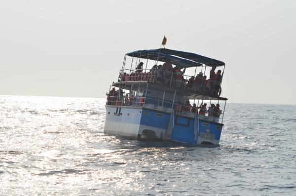Another whale-watching boat