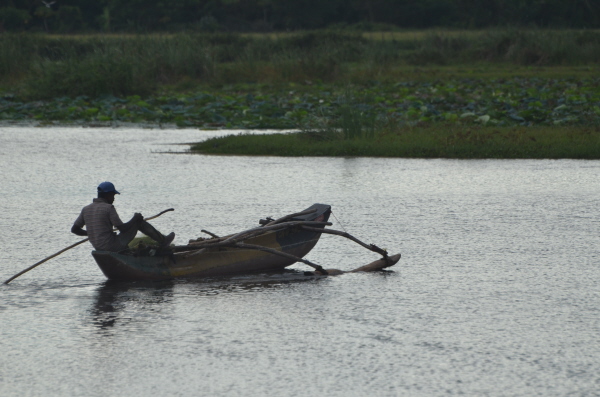 Tissa tanks (reservoirs)