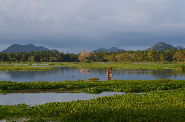 Tissa tanks (reservoirs)