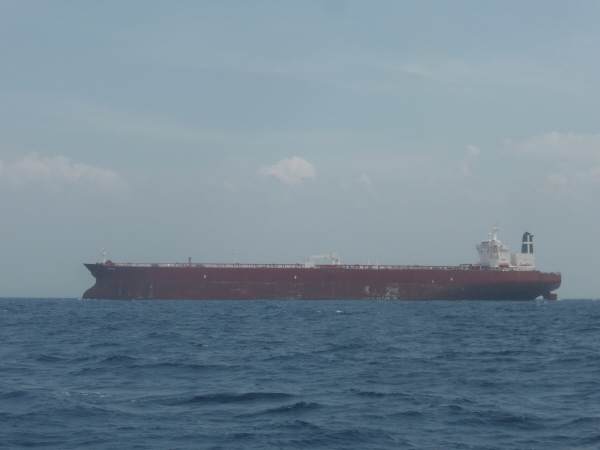 Empty oil tanker "Birdie" (yes really) IMO 9297319 bound for the Gulf